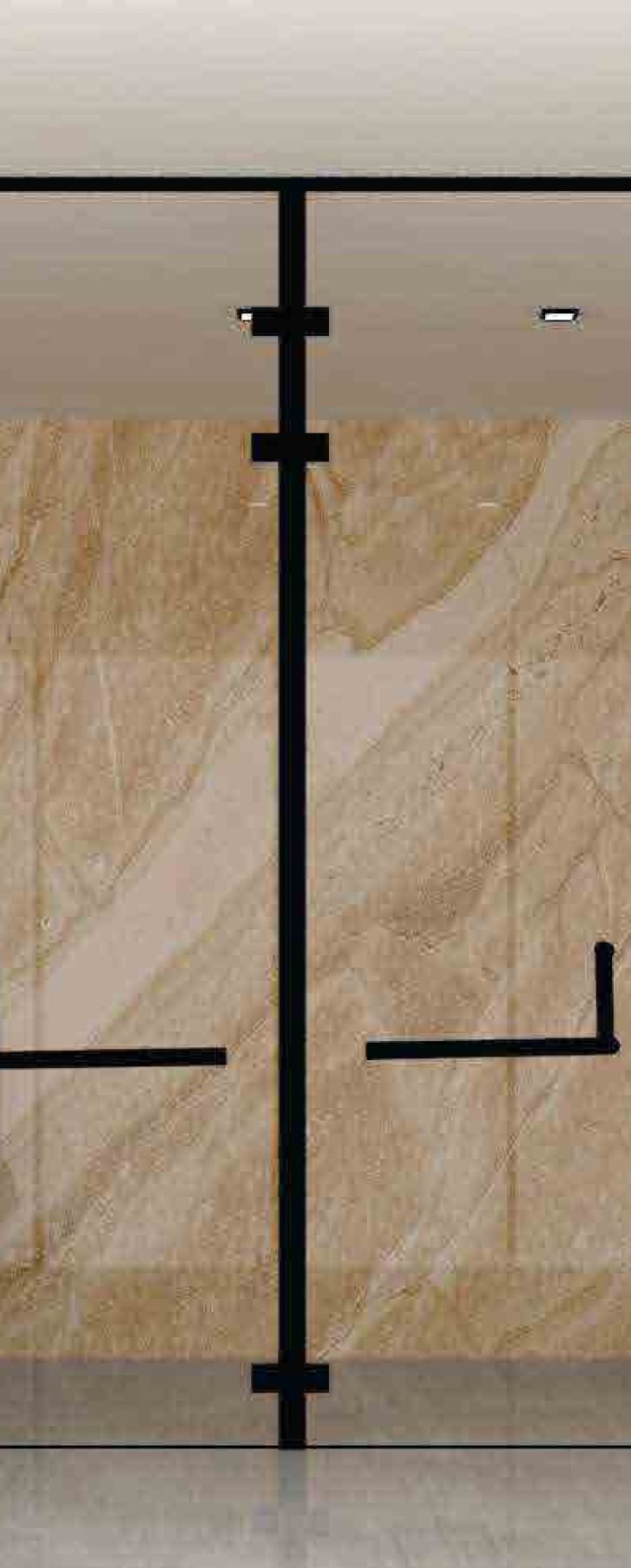 Visible Hinge Shower